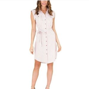 Bishop + Young Striped Button Front Dress XS